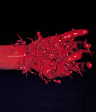 Manipulation N. 8
